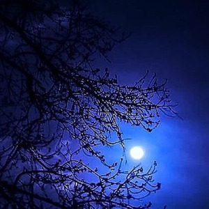 ブリュッセルの幻影