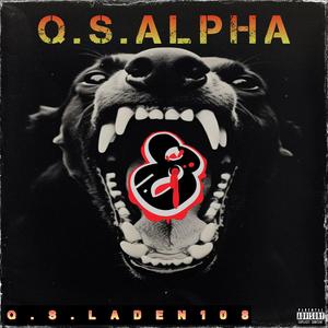 Q.S.ALPHA