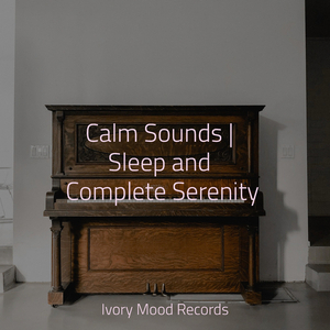 Shadowed Skies' Symphony