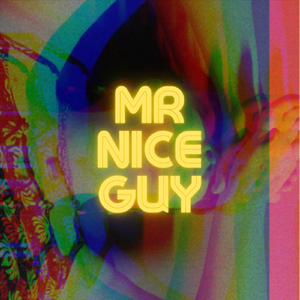Mr Nice Guy