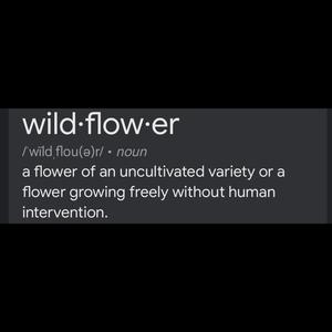 WILDFLOWER.