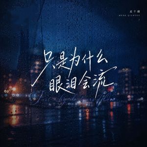 只是为什么眼泪会流