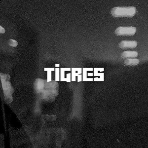 Tigres