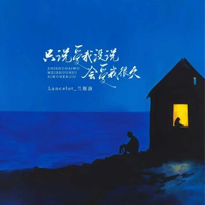 只说爱我没说会爱我很久