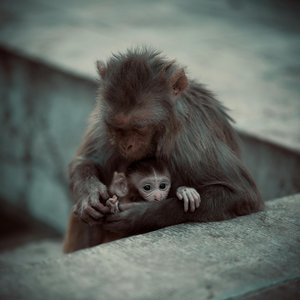 You Can See the Moon Tonnight