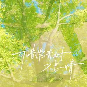 可惜常青树不长情(和声伴奏)