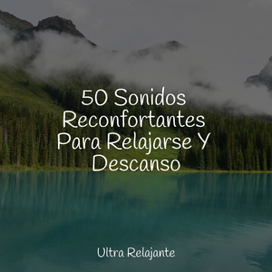 Cascada De La Música