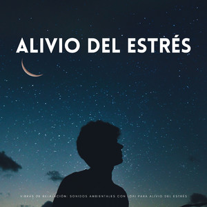 Ritmo Calmos Lofi Para Aliviar El Estrés