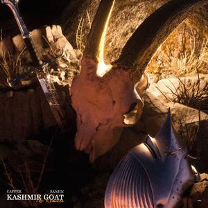 克什米尔山羊Kashmir Goat（Dox Main 潇潇 Remix）