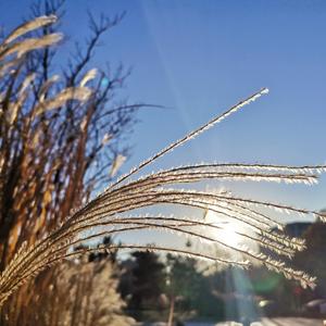 四万秋（cover 黄诗扶）