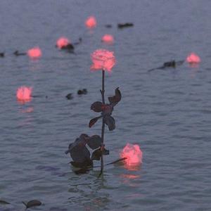 都市丽人生存报告