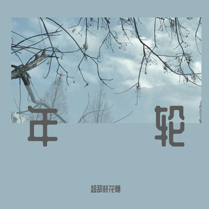年轮