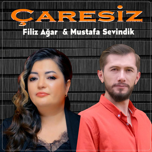 Çaresiz