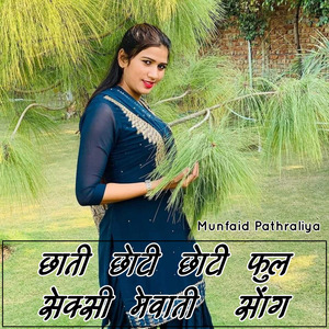 Chhati Chhoti Chhoti Full Sexy Mewati