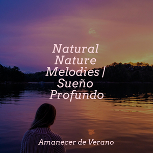 Cielos Melancólicos en Ascenso