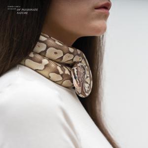 Listen Up 'King Ola'