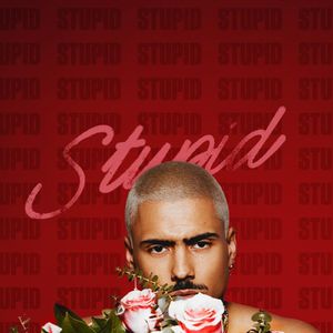 STUPID