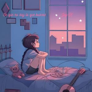 Se que no soy lo que buscas