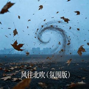 风往北吹