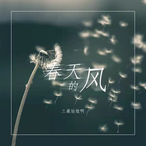 春天的风