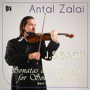 Violin Sonata No. 3 in C Major, BWV 1005: IV. Allegro assai