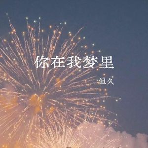 你在我梦里