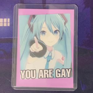 You Are Gay (feat. Hatsune Miku) (Extended Version)