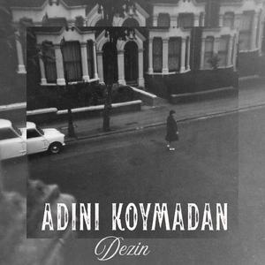 Adını Koymadan