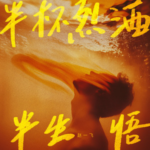 半杯烈酒半生悟