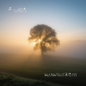 我以为我可以不再想你了