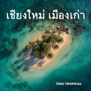 เกาะช้าง น้ำตกป่าดงดิบ