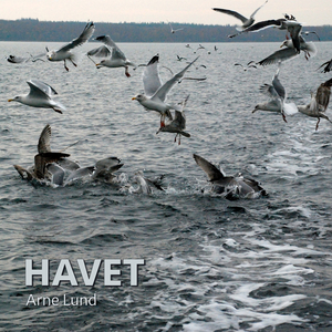 Havet (v1)