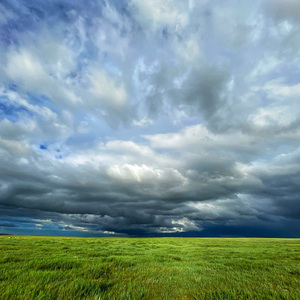 Tanaas nadad tasarj uldsen zuils