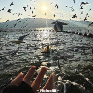 优雅便是全部 (Reisel茫 Remix)