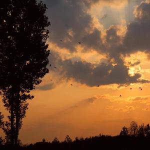 有风无风皆自由