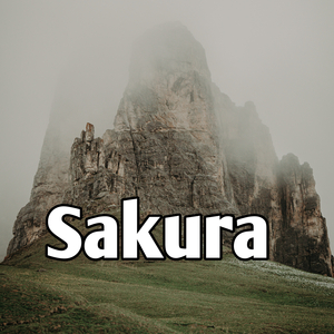 Sakura