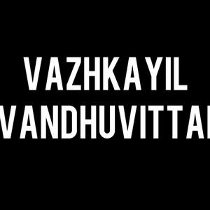 Vazhkayil Vandhuvittai