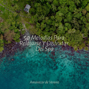 Visiones Melódicas Desplegándose