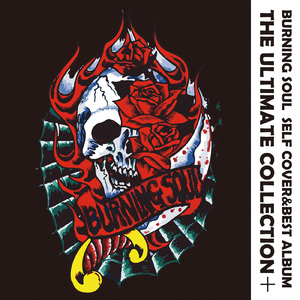 【RISING SUN】―泪橋の夜明け―