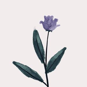 晓看天色暮看云