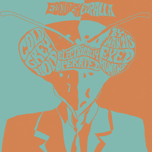 Several Specimens of Ruminant Animals with Large Udders Chewing Grass in a Cambridge Meadow