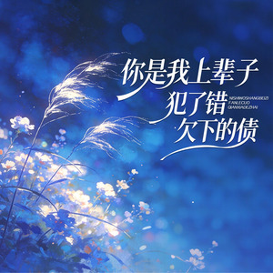 你是我上辈子犯了错 欠下的债