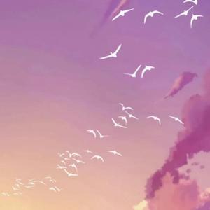 Brian Crain-canon in d（芳菲尽 remix）