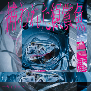 捕らわれた観賞魚