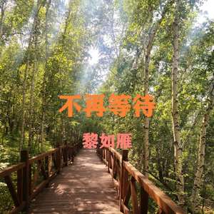 不再等待