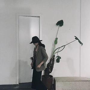 致青春（翻自 王菲）