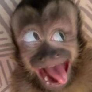 Automotivo Bibi Fogosa (Sped up)