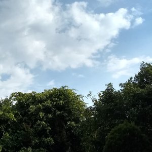 La Correccion De Dios