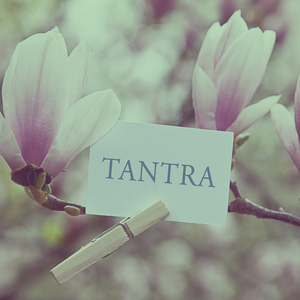 Meditaton: April Rain