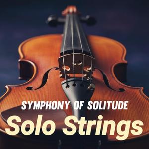 Crimson Resonance 진홍빛 공명